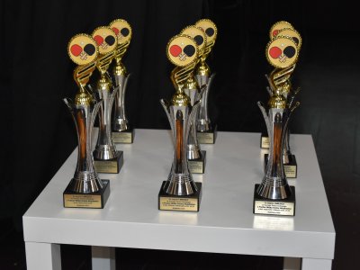 Turniej Tenisa Stołowego o Puchar Wójta Gminy Wojsławice 2024